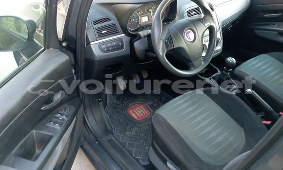 Buy Used Fiat Punto Black Car in ad-Dar-al-Bayda in Casablanca Buy Used Fiat Punto Black Car in ad-Dar-al-Bayda in Casablanca