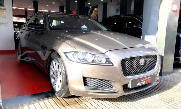 Buy Used Jaguar XF Other Car in al-Ayun Sidi Malluk in Oriental
