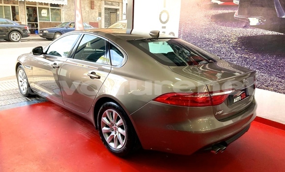 Buy Used Jaguar XF Other Car in al-Ayun Sidi Malluk in Oriental Buy Used Jaguar XF Other Car in al-Ayun Sidi Malluk in Oriental