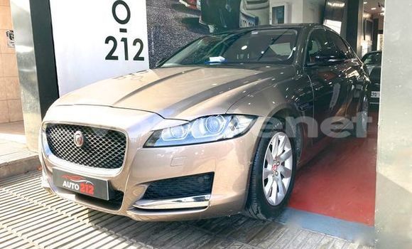 Buy Used Jaguar XF Other Car in al-Ayun Sidi Malluk in Oriental Buy Used Jaguar XF Other Car in al-Ayun Sidi Malluk in Oriental