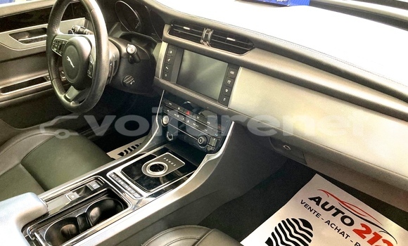 Buy Used Jaguar XF Other Car in al-Ayun Sidi Malluk in Oriental Buy Used Jaguar XF Other Car in al-Ayun Sidi Malluk in Oriental