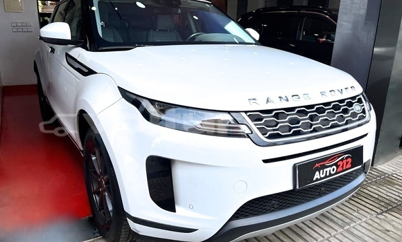 Buy Used Land Rover Range Rover Evoque White Car in ad-Dar-al-Bayda in Casablanca