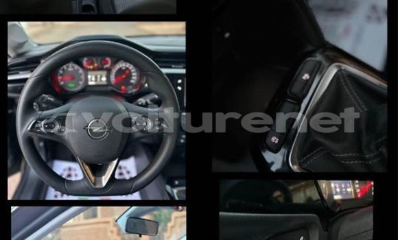 اشتري مستعمل Opel Corsa Other سيارة في al-'Ara'ish في Tangier-Tetouan اشتري مستعمل Opel Corsa Other سيارة في al-'Ara'ish في Tangier-Tetouan