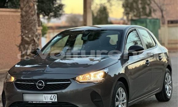 اشتري مستعمل Opel Corsa Other سيارة في al-'Ara'ish في Tangier-Tetouan اشتري مستعمل Opel Corsa Other سيارة في al-'Ara'ish في Tangier-Tetouan