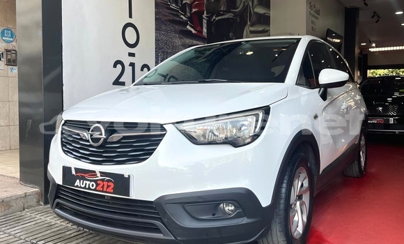 Buy Used Opel Crossland X White Car in Agadir in Agadir