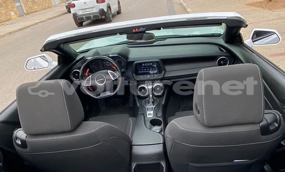 اشتري مستعمل Chevrolet Camaro White سيارة في ad-Dar-al-Bayda في Casablanca اشتري مستعمل Chevrolet Camaro White سيارة في ad-Dar-al-Bayda في Casablanca
