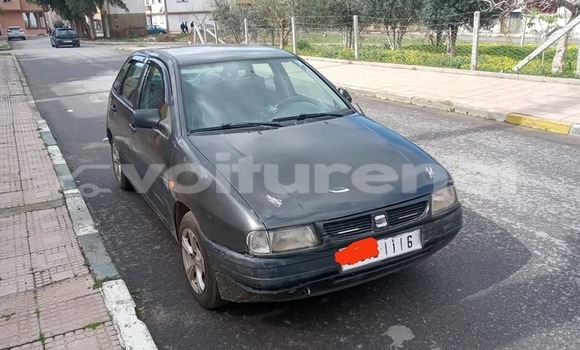 Buy Used SEAT Ibiza Other Car in al-Arwi in Oriental Buy Used SEAT Ibiza Other Car in al-Arwi in Oriental