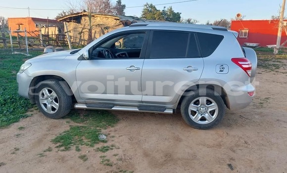 اشتري مستعمل Toyota RAV 4 Other سيارة في al-Ayun Sidi Malluk في Oriental اشتري مستعمل Toyota RAV 4 Other سيارة في al-Ayun Sidi Malluk في Oriental