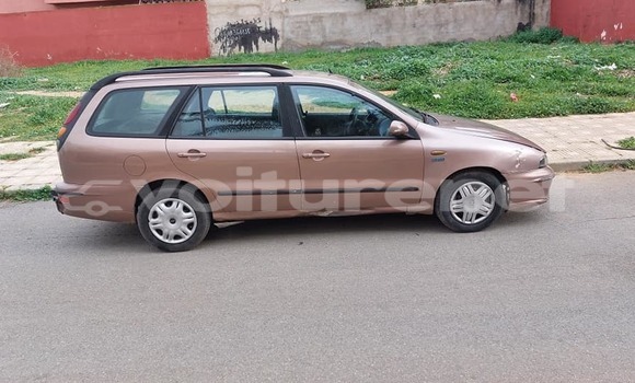 اشتري مستعمل Fiat Doblo Other سيارة في al-'Ara'ish في Tangier-Tetouan اشتري مستعمل Fiat Doblo Other سيارة في al-'Ara'ish في Tangier-Tetouan