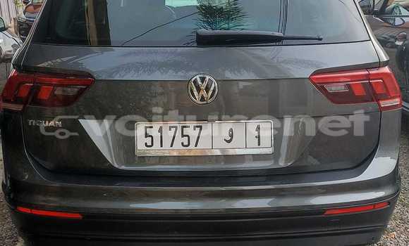 اشتري مستعمل Volkswagen Tiguan Other سيارة في Agadir في Agadir اشتري مستعمل Volkswagen Tiguan Other سيارة في Agadir في Agadir