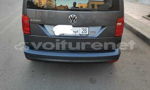 اشتري مستعمل Volkswagen Jetta Other سيارة في Ahfir في Oriental اشتري مستعمل Volkswagen Jetta Other سيارة في Ahfir في Oriental