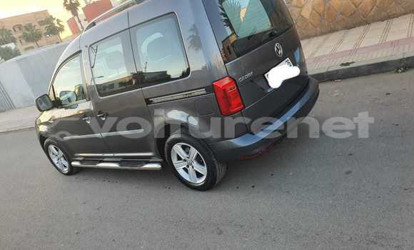 اشتري مستعمل Volkswagen Jetta Other سيارة في Ahfir في Oriental اشتري مستعمل Volkswagen Jetta Other سيارة في Ahfir في Oriental