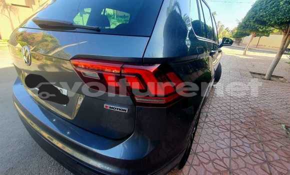 اشتري مستعمل Volkswagen Jetta Other سيارة في Agadir في Agadir اشتري مستعمل Volkswagen Jetta Other سيارة في Agadir في Agadir