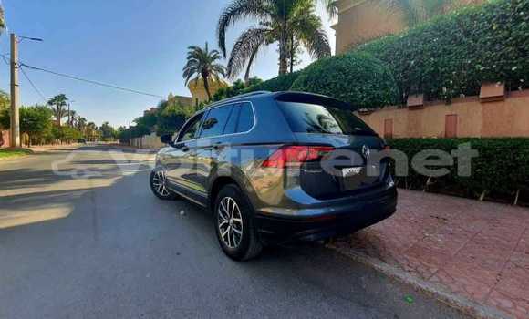 اشتري مستعمل Volkswagen Jetta Other سيارة في Agadir في Agadir اشتري مستعمل Volkswagen Jetta Other سيارة في Agadir في Agadir