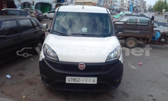 Buy Used Tesla Model S White Car in al-'Ara'ish in Tangier-Tetouan Buy Used Tesla Model S White Car in al-'Ara'ish in Tangier-Tetouan