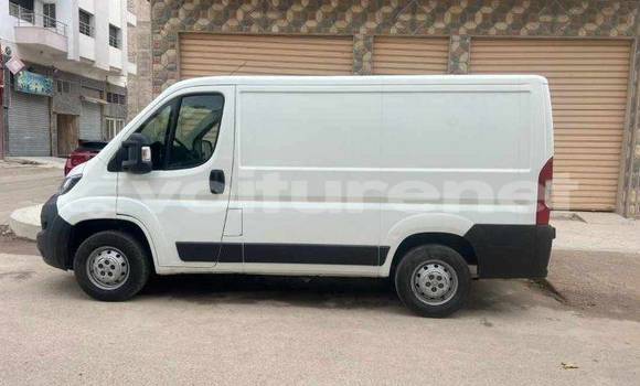 Acheter Occasion Voiture Peugeot 202 Blanc à al-Arwi, Oriental Acheter Occasion Voiture Peugeot 202 Blanc à al-Arwi, Oriental