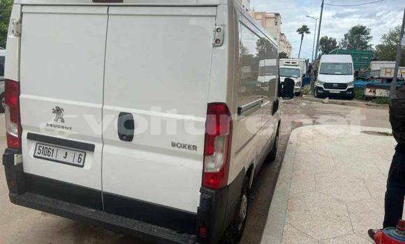 اشتري مستعمل Peugeot 202 White سيارة في al-Arwi في Oriental اشتري مستعمل Peugeot 202 White سيارة في al-Arwi في Oriental