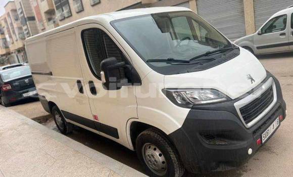 اشتري مستعمل Peugeot 202 White سيارة في al-Arwi في Oriental اشتري مستعمل Peugeot 202 White سيارة في al-Arwi في Oriental