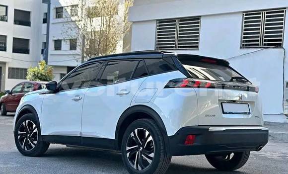 اشتري مستعمل Peugeot 2008 White سيارة في al-Arwi في Oriental اشتري مستعمل Peugeot 2008 White سيارة في al-Arwi في Oriental