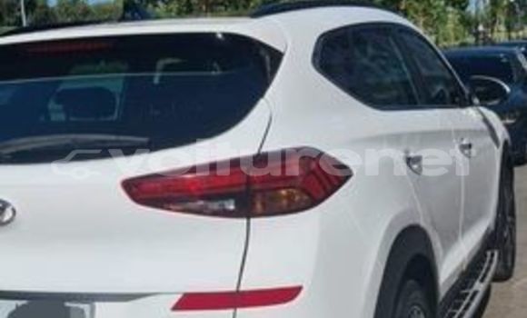 Buy Used Hyundai Tucson Other Car in al-'Ara'ish in Tangier-Tetouan Buy Used Hyundai Tucson Other Car in al-'Ara'ish in Tangier-Tetouan