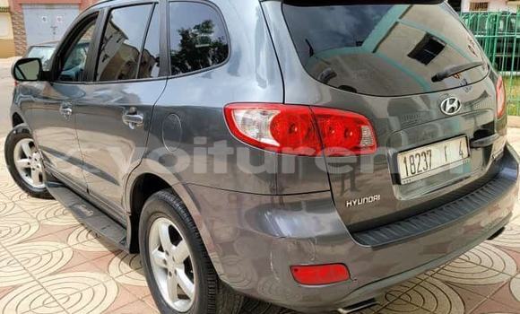 Acheter Occasion Voiture Hyundai Santa Fe Autre à al-Faqih Bin Salah, Tadla-Azilal Acheter Occasion Voiture Hyundai Santa Fe Autre à al-Faqih Bin Salah, Tadla-Azilal