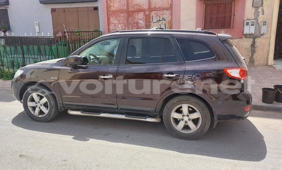 Acheter Occasion Voiture Hyundai Santa Fe Noir à al-Ayun Sidi Malluk, Oriental