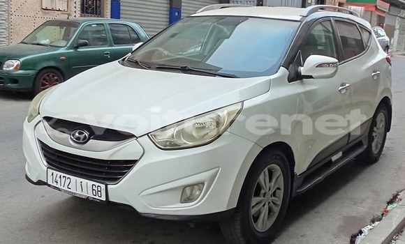 Buy Used Hyundai ix35 White Car in al-'Ara'ish in Tangier-Tetouan Buy Used Hyundai ix35 White Car in al-'Ara'ish in Tangier-Tetouan