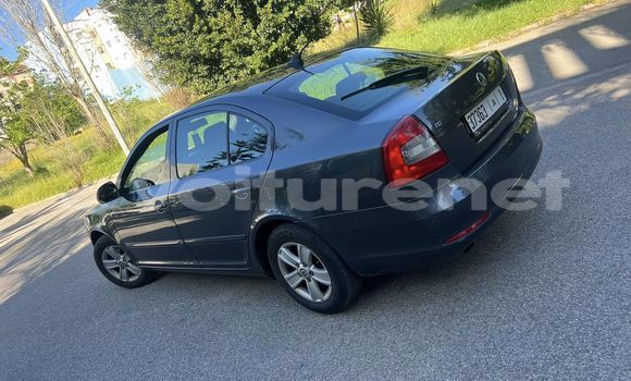 اشتري مستعمل Skoda Octavia Other سيارة في al-Faqih Bin Salah في Tadla-Azilal اشتري مستعمل Skoda Octavia Other سيارة في al-Faqih Bin Salah في Tadla-Azilal