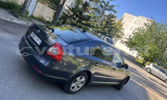 اشتري مستعمل Skoda Octavia Other سيارة في al-Faqih Bin Salah في Tadla-Azilal اشتري مستعمل Skoda Octavia Other سيارة في al-Faqih Bin Salah في Tadla-Azilal