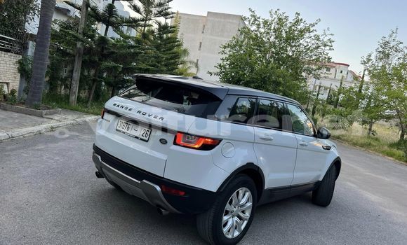 Buy Used Land Rover Range Rover Evoque White Car in al-Ayun Sidi Malluk in Oriental Buy Used Land Rover Range Rover Evoque White Car in al-Ayun Sidi Malluk in Oriental