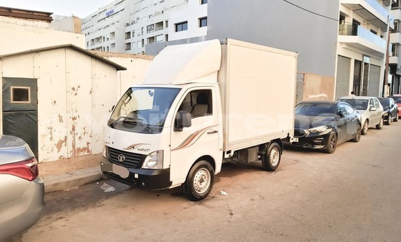 اشتري مستعمل Tata Xenon White سيارة في al-'Ara'ish في Tangier-Tetouan اشتري مستعمل Tata Xenon White سيارة في al-'Ara'ish في Tangier-Tetouan
