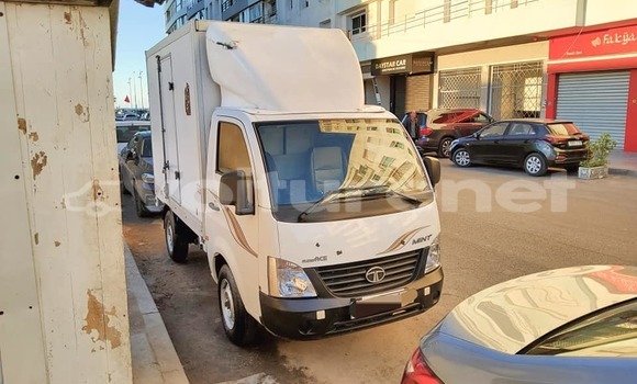 اشتري مستعمل Tata Xenon White سيارة في al-'Ara'ish في Tangier-Tetouan اشتري مستعمل Tata Xenon White سيارة في al-'Ara'ish في Tangier-Tetouan