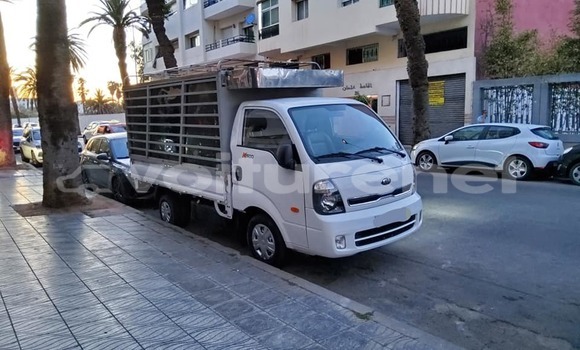 اشتري مستعمل Kia K9 White سيارة في al-Ayun Sidi Malluk في Oriental اشتري مستعمل Kia K9 White سيارة في al-Ayun Sidi Malluk في Oriental