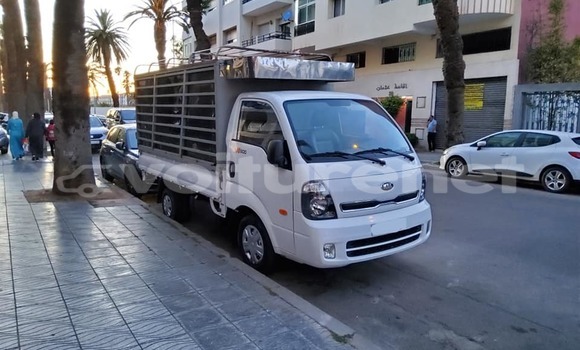 اشتري مستعمل Kia K9 White سيارة في al-Ayun Sidi Malluk في Oriental اشتري مستعمل Kia K9 White سيارة في al-Ayun Sidi Malluk في Oriental