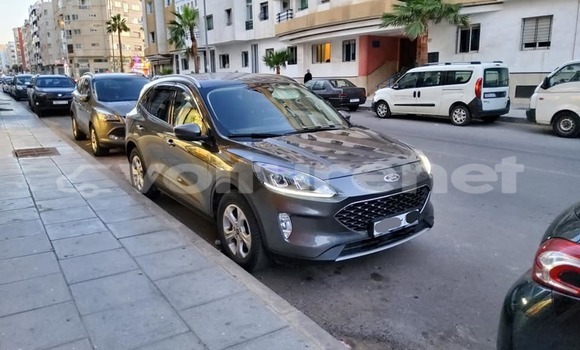 اشتري مستعمل Xin Kai Pickup X3 Other سيارة في al-Ayun Sidi Malluk في Oriental اشتري مستعمل Xin Kai Pickup X3 Other سيارة في al-Ayun Sidi Malluk في Oriental