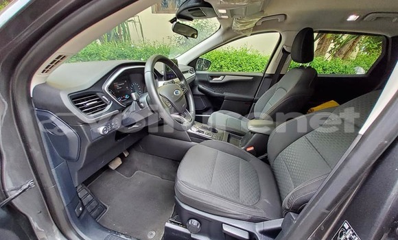 اشتري مستعمل Xin Kai Pickup X3 Other سيارة في al-Ayun Sidi Malluk في Oriental اشتري مستعمل Xin Kai Pickup X3 Other سيارة في al-Ayun Sidi Malluk في Oriental