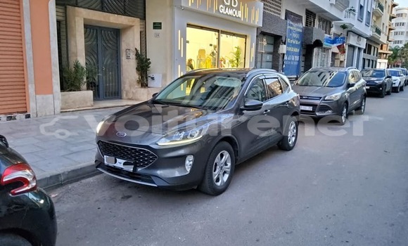 اشتري مستعمل Xin Kai Pickup X3 Other سيارة في al-Ayun Sidi Malluk في Oriental اشتري مستعمل Xin Kai Pickup X3 Other سيارة في al-Ayun Sidi Malluk في Oriental