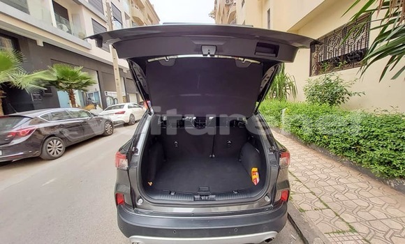 اشتري مستعمل Xin Kai Pickup X3 Other سيارة في al-Ayun Sidi Malluk في Oriental اشتري مستعمل Xin Kai Pickup X3 Other سيارة في al-Ayun Sidi Malluk في Oriental