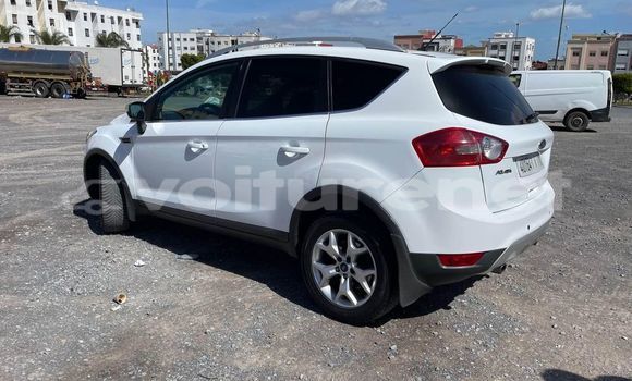 Acheter Occasion Voiture Ford Kuga Blanc à al-'Ara'ish, Tangier-Tetouan Acheter Occasion Voiture Ford Kuga Blanc à al-'Ara'ish, Tangier-Tetouan