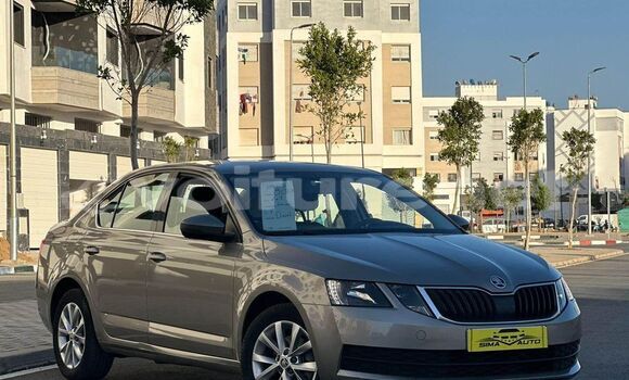 اشتري مستعمل Skoda Octavia Other سيارة في Ahfir في Oriental اشتري مستعمل Skoda Octavia Other سيارة في Ahfir في Oriental