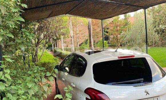 Buy Used Peugeot 208 White Car in al-'Ara'ish in Tangier-Tetouan Buy Used Peugeot 208 White Car in al-'Ara'ish in Tangier-Tetouan