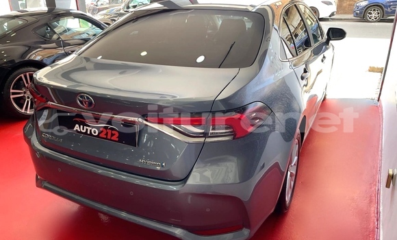 اشتري مستعمل Toyota Corolla Blue سيارة في ad-Dar-al-Bayda في Casablanca اشتري مستعمل Toyota Corolla Blue سيارة في ad-Dar-al-Bayda في Casablanca