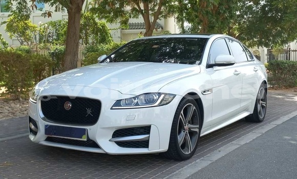 Buy Used Jaguar XF White Car in an-Nadur in Oriental Buy Used Jaguar XF White Car in an-Nadur in Oriental