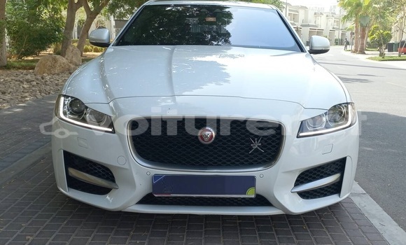 Buy Used Jaguar XF White Car in an-Nadur in Oriental Buy Used Jaguar XF White Car in an-Nadur in Oriental