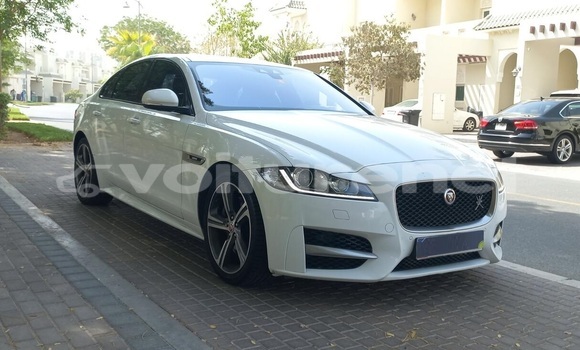 Buy Used Jaguar XF White Car in an-Nadur in Oriental Buy Used Jaguar XF White Car in an-Nadur in Oriental