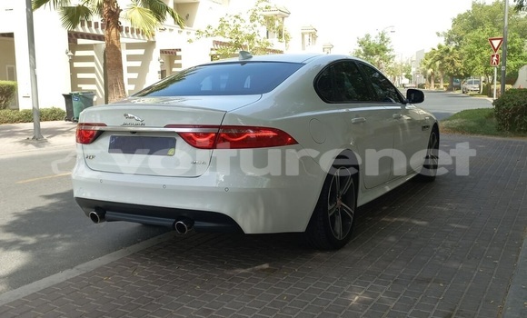 Buy Used Jaguar XF White Car in an-Nadur in Oriental Buy Used Jaguar XF White Car in an-Nadur in Oriental