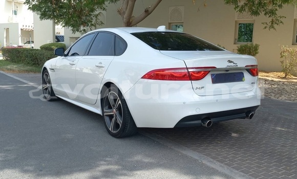 Buy Used Jaguar XF White Car in an-Nadur in Oriental Buy Used Jaguar XF White Car in an-Nadur in Oriental