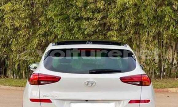 Acheter Occasion Voiture Hyundai Tucson Autre à Ahfir, Oriental Acheter Occasion Voiture Hyundai Tucson Autre à Ahfir, Oriental