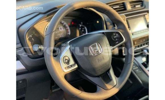 Acheter Import Voiture Honda CR-V Blanc à Import - Dubai, Agadir Acheter Import Voiture Honda CR-V Blanc à Import - Dubai, Agadir