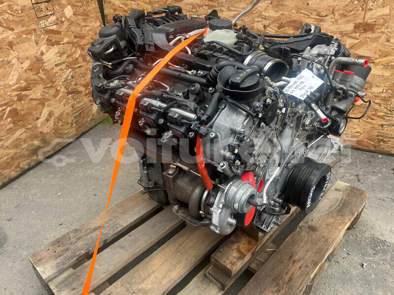 Big with watermark c